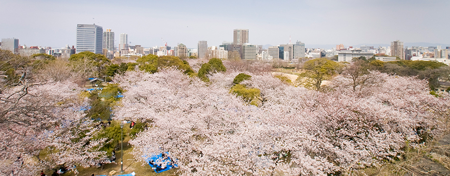 舞鶴公園